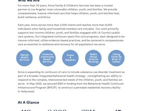 Aviva Strategic Plan